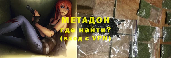 хмурый Аркадак