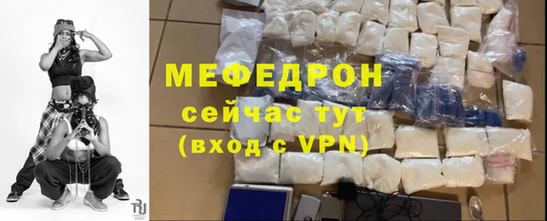 хмурый Аркадак
