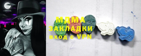 хмурый Аркадак