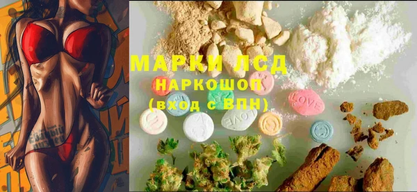 хмурый Аркадак